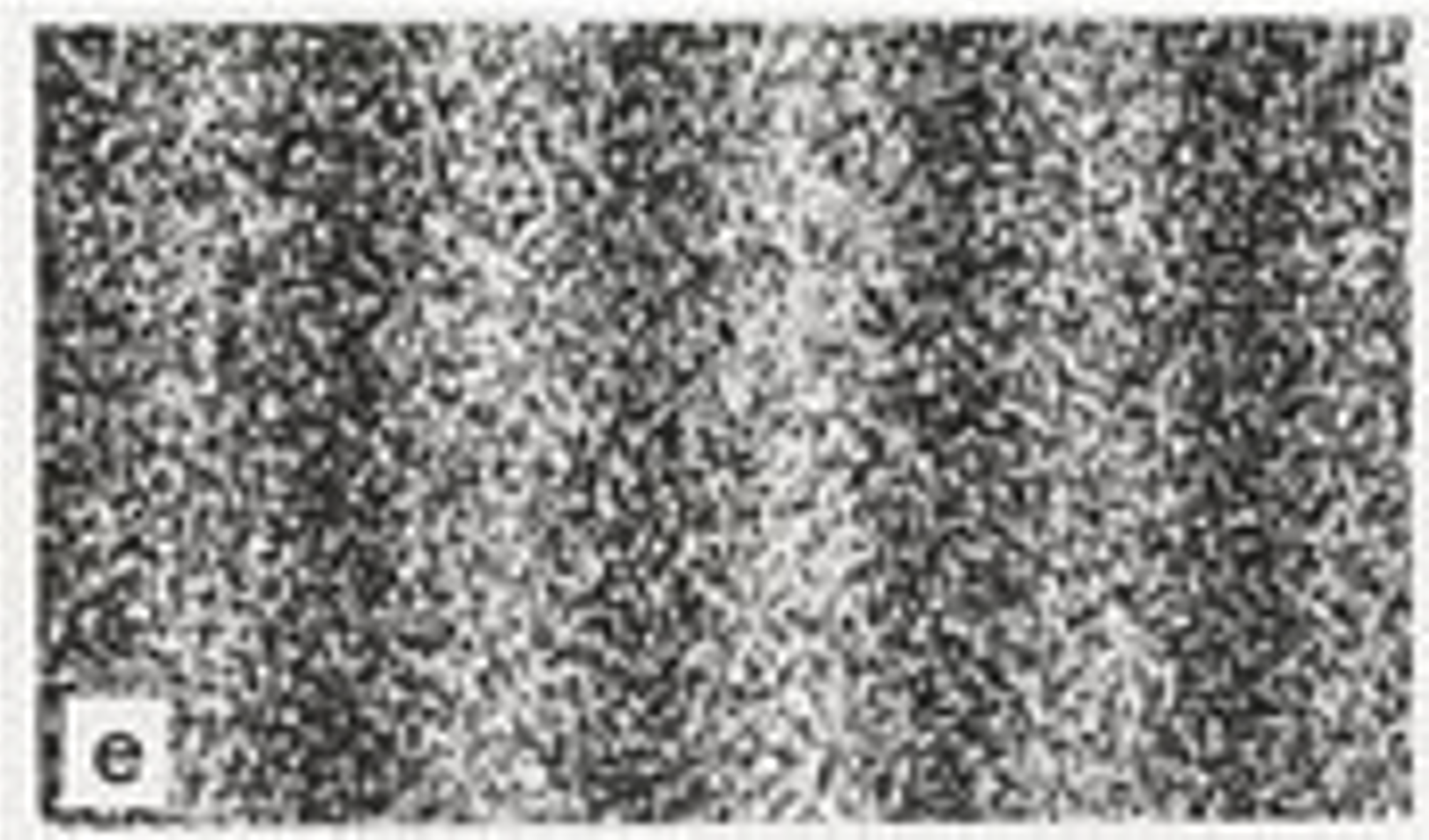 Results of a double-slit-experiment performed by Dr. Tonomura showing the build-up of an interference pattern of single electrons. Numbers of electrons are 140000.