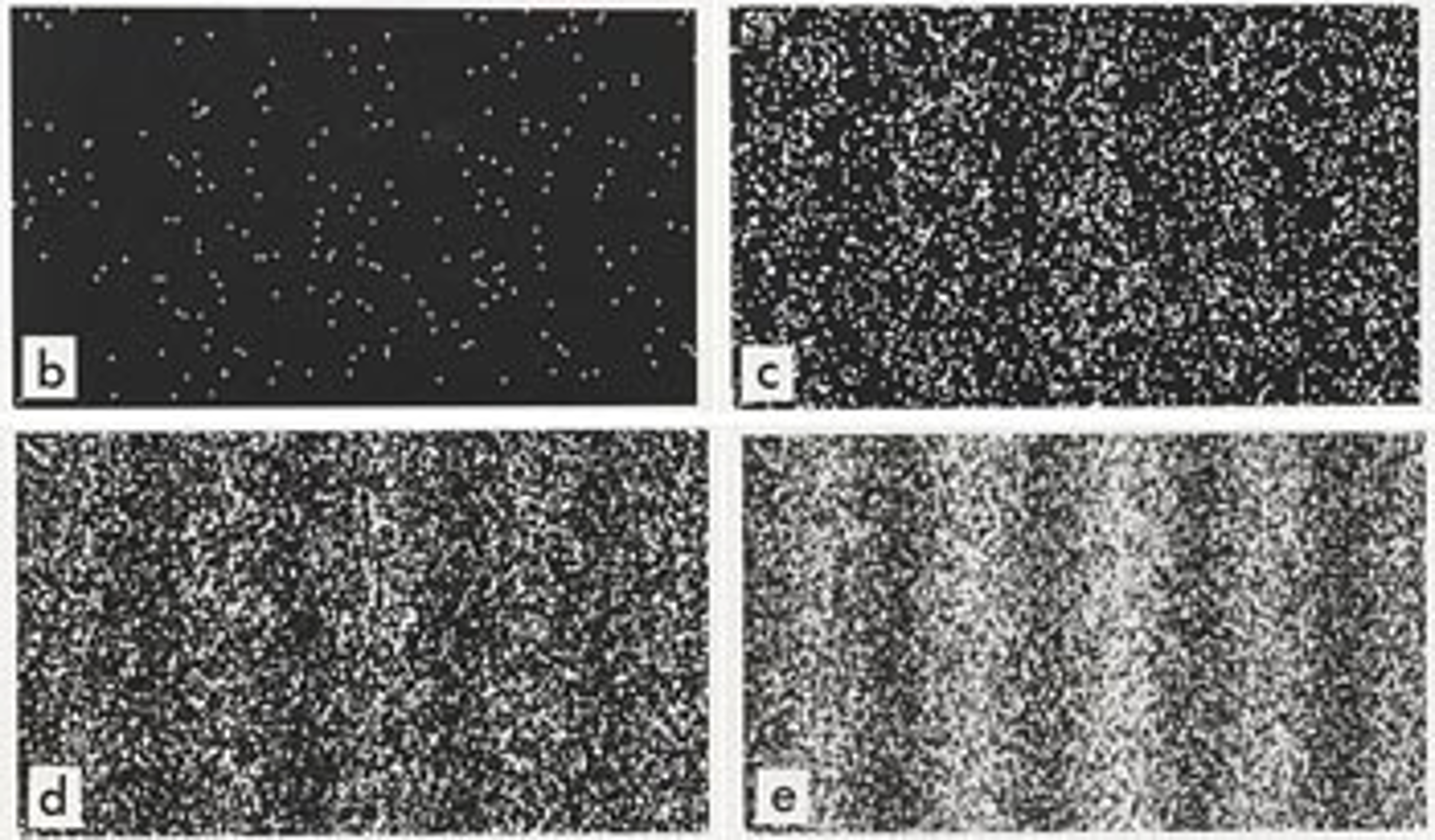 Results of a double-slit-experiment performed by Dr. Tonomura showing the build-up of an interference pattern of single electrons. Numbers of electrons are 11 (a), 200 (b), 6000 (c), 40000 (d), 140000 (e).