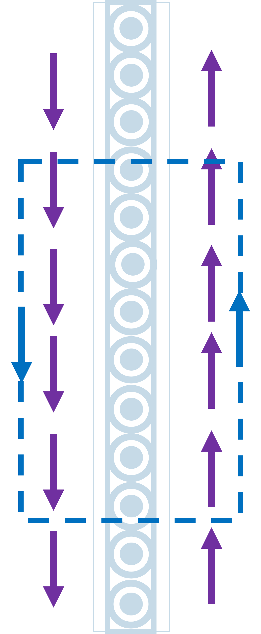 A vertical collection of currents pointing out of the screen. Purple arrows designate the magnetic field: upward on the right side of the sheet, downward on the left side of the sheet. A blue rectangle with counterclockwise arrows indicates a loop.