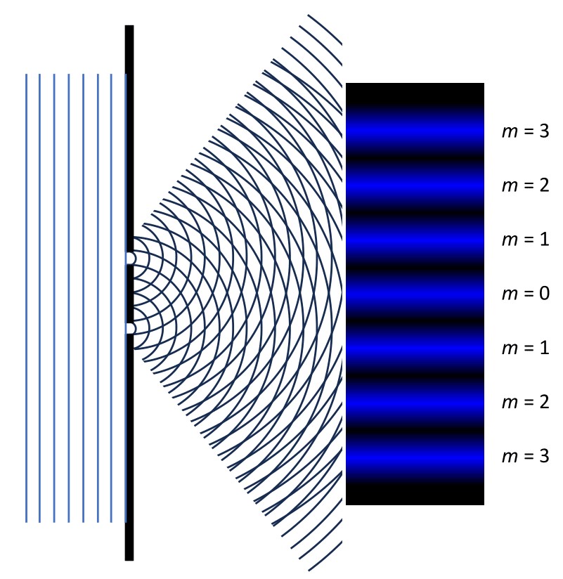 A diagram showing the double-slit experiment and the interference pattern that is shown on the screen. Two slits sit on the right side. Plane waves hit the two slits from the left side. As they exist the slits, the wave front becomes spherical, and multiple concentric circles are shown to represent how the light wave behaves. The interference pattern has seven evenly distributed bright spots. The center is labelled m = 0, and the rest are labelled from m = 1 to m = 3 above and below the center.